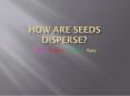 How are seeds disperse? PowerPoint PPT Presentation