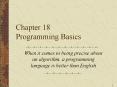Chapter 18 Programming Basics PowerPoint PPT Presentation