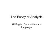 The Essay of Analysis