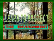 THE  ENVIRONMENT