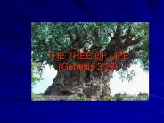 THE%20TREE%20OF%20LIFE%20(Genesis%203:22)