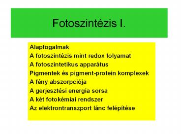 Fotoszint