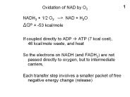 Oxidation of NAD by O2