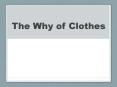 The Why of Clothes PowerPoint PPT Presentation