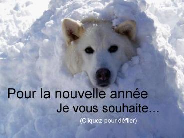 Pour la nouvelle ann