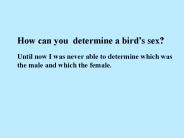 Presentazione di PowerPoint