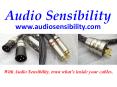 Audio Sensibility PowerPoint PPT Presentation