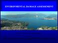 ENVIRONMENTAL DAMAGE ASSESSEMENT PowerPoint PPT Presentation