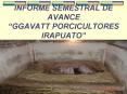 INFORME SEMESTRAL DE AVANCE  PowerPoint PPT Presentation