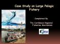Case Study on Large Pelagic Fishery PowerPoint PPT Presentation