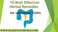 Top 10 Effective Herbal Remedies for colitis