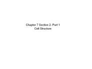 Chapter 7 Section 2- Part 1