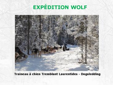 EXPÉDITION WOLF