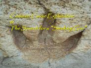 HISTORICAL SCIENCE AND THE INTELLIGENT DESIGN THEORY
