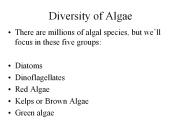 Diversity of Algae