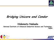 Bridging Unicore and Condor