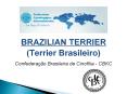 BRAZILIAN%20TERRIER PowerPoint PPT Presentation