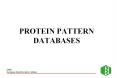 PROTEIN PATTERN DATABASES PowerPoint PPT Presentation
