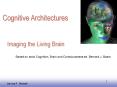 Imaging the Living Brain PowerPoint PPT Presentation
