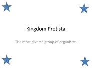 Kingdom Protista