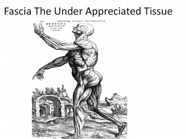 Fascia The Under Appreciated Tissue