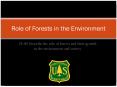 28.00 Describe the role of forests and their growth in the environment and society PowerPoint PPT Presentation
