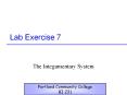 Lab Exercise 7 PowerPoint PPT Presentation