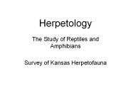 Herpetology