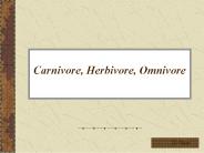Carnivore, Herbivore, Omnivore