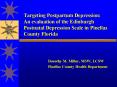 Targeting Postpartum Depression: An evaluation of the Edinburgh Postnatal Depression Scale in Pinellas County Florida PowerPoint PPT Presentation