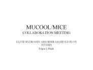 MUCOOL/MICE%20COLLABORATION%20MEETING