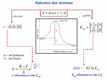 Natureza das enzimas