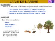 LA VIE DE L