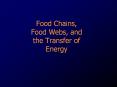 Food Chains, Food Webs, and the Transfer of Energy PowerPoint PPT Presentation