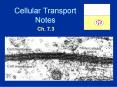 Cellular Transport Notes PowerPoint PPT Presentation