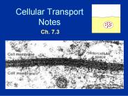 Cellular Transport Notes