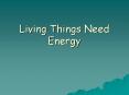 Living Things Need Energy PowerPoint PPT Presentation