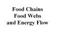 Food%20Chains%20Food%20Webs%20and%20Energy%20Flow PowerPoint PPT Presentation