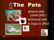 The Pets