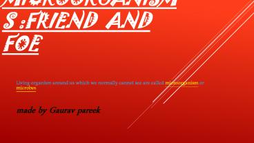 microorganisms friend and foe