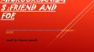 microorganisms friend and foe