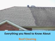 Everything you Need to Know About Roof Cleaning