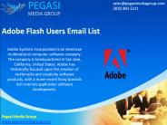 Adobe Flash Users Email List