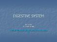 DIGESTIVE SYSTEM PowerPoint PPT Presentation