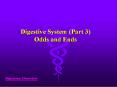 Digestive System (Part 3) Odds and Ends PowerPoint PPT Presentation