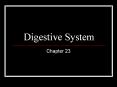 Digestive System PowerPoint PPT Presentation