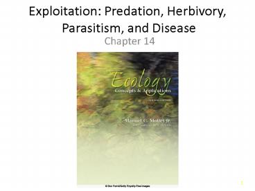 Exploitation: Predation, Herbivory, Parasitism, and Disease