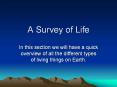 A Survey of Life PowerPoint PPT Presentation