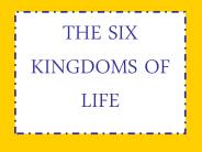 The Six Kingdoms of Life