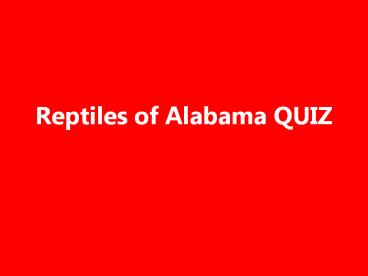 Reptiles of Alabama QUIZ